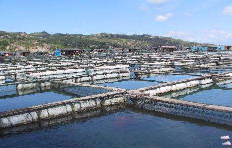 德瑞亞空壓機助力淡水養殖，營造和諧水產市場
